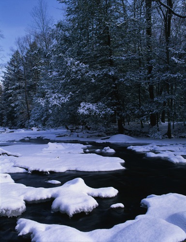 Black River, Hacklebarney State Park, Morris County, NJ (MF).jpg Black River, Hacklebarney State Park, Morris County, NJ (MF).jpg